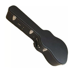 CASE RONSANI VIOLAO FOLK - 2015