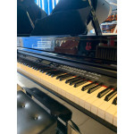 Piano de Cauda Profissional Digital Acordes Dp-740k Preto Autobrilho 