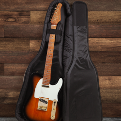 GUITARRA BENSON TELE HARDY 904 2TS C/ CAPA - 11316