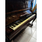 Piano Armario Brasil Acustico C/banqueta - Seminovo