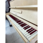 Piano Armario J. Hoelzl Acustico Creme - Seminovo