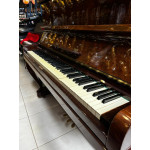 Piano Armario Brasil Acustico C/banqueta - Seminovo