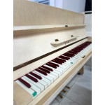 Piano Armario J. Hoelzl Acustico Creme - Seminovo