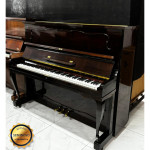 Piano Armario Franz-straub Acustico - Seminovo