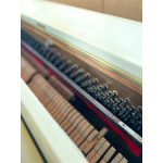 Piano Armario J. Hoelzl Acustico Creme - Seminovo