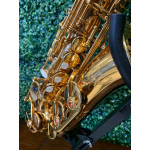 Saxofone Alto Condor Laq - Seminovo.