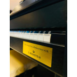 Piano Digital Casio Celviano Gran Hybrid Gp 310bk C2-br