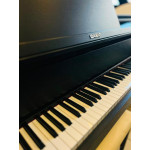 Piano Digital Casio Celviano Gran Hybrid Gp 310bk C2-br