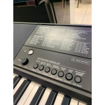 TECLADO CASIO CTX 800