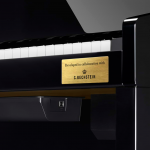 PIANO DIGITAL CASIO CELVIANO GRAN HYBRID GP 510BP C. BECHSTEIN PRETO