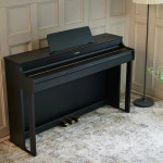 Piano Digital Casio Celviano Ap 300 Bk C2
