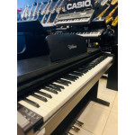 Piano Armario Digital Waldman Key Grand Kg-8800 - Seminovo Piano Armario Digital Waldman Key Grand Kg-8800 - Seminovo