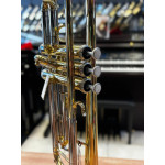 Trompete Eagle Tr504 Sib Laqueado