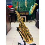 Saxofone Alto Eagle Sax510 - Seminovo