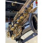 Saxofone Alto Eagle Black Onix - Seminovo