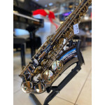 Saxofone Alto Eagle Black Onix - Seminovo