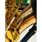 Saxofone Alto Eagle Sax510 - Seminovo