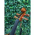 Violino Eagle Ve421 1/2 Verniz