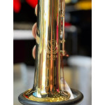 SAXOFONE SOPRANO EAGLE SP502L LAQ SAXOFONE SOPRANO EAGLE SP502L LAQ