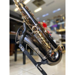 Saxofone Alto Eagle Black Onix - Seminovo