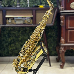 SAXOFONE ALTO EAGLE SA501L LAQUEADO