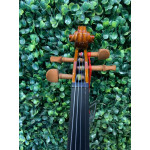 Violino Eagle Ve421 1/2 Verniz