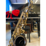 Saxofone Alto Eagle Black Onix - Seminovo