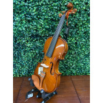 Violino Eagle Ve421 1/2 Verniz