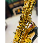 Saxofone Alto Eagle Sax510 - Seminovo