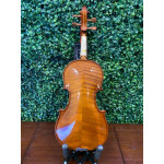 Violino Eagle Ve421 1/2 Verniz