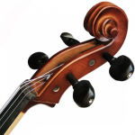 VIOLONCELO EAGLE 4/4 CE300