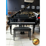 Piano de Cauda Acustico Fritz Dobbert Fd-160 Preto Laq - Seminovo 