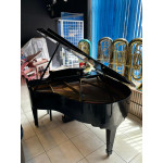 Piano de Cauda Acustico Fritz Dobbert Fd-160 Preto Laq - Seminovo 