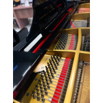 Piano de Cauda Acustico Fritz Dobbert C-185 Preto Alto Brilho Mecanica Schwander - Seminovo Piano de Cauda Acustico Fritz Dobbert C-185 Preto Alto Brilho Mecanica Schwander - Seminovo