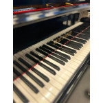 Piano de Cauda Acustico Fritz Dobbert C-185 Preto Alto Brilho Mecanica Schwander - Seminovo Piano de Cauda Acustico Fritz Dobbert C-185 Preto Alto Brilho Mecanica Schwander - Seminovo
