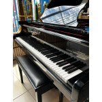Piano de Cauda Acustico Fritz Dobbert Fd-160 Preto Laq - Seminovo 