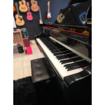 Piano de Cauda Acustico Fritz Dobbert C-185 Preto Alto Brilho Mecanica Schwander - Seminovo Piano de Cauda Acustico Fritz Dobbert C-185 Preto Alto Brilho Mecanica Schwander - Seminovo