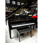 Piano de Cauda Acustico Fritz Dobbert Fd-160 Preto Laq - Seminovo 
