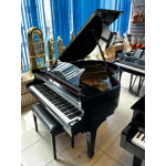 Piano de Cauda Acustico Fritz Dobbert Fd-160 Preto Laq - Seminovo 