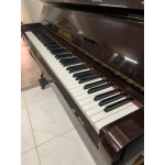 Piano Armario Acustico Fritz Dobbert - Seminovo