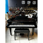 Piano de Cauda Acustico Fritz Dobbert Fd-160 Preto Laq - Seminovo 