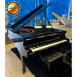 Piano de Cauda Acustico Fritz Dobbert C-185 Preto Alto Brilho Mecanica Schwander - Seminovo
