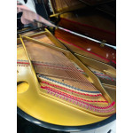 Piano de Cauda Acustico Fritz Dobbert C-185 Preto Alto Brilho Mecanica Schwander - Seminovo Piano de Cauda Acustico Fritz Dobbert C-185 Preto Alto Brilho Mecanica Schwander - Seminovo