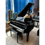 Piano de Cauda Acustico Fritz Dobbert Fd-160 Preto Laq - Seminovo 