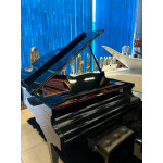Piano de Cauda Acustico Fritz Dobbert C-185 Preto Alto Brilho Mecanica Schwander - Seminovo Piano de Cauda Acustico Fritz Dobbert C-185 Preto Alto Brilho Mecanica Schwander - Seminovo