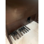 Orgão Grace Slendore Sx750 R Luxo - Seminovo