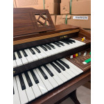 Orgao Gambitt Dx700 - Seminovo