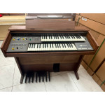 Orgao Gambitt Dx 160 - R - Seminovo
