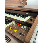 Orgao Gambitt Bx30 - Seminovo