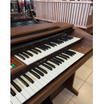 Orgao Gambitt Dx180r Amadeirado - Seminovo